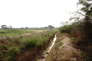 The Garden Estate