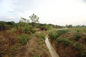 The Garden Estate
