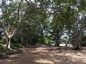 The Garden Estate