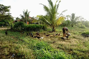 The Garden Estate