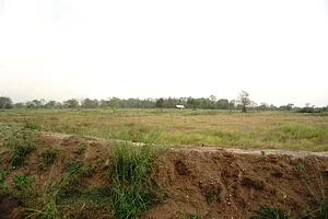 The Garden Estate