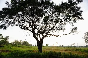 The Garden Estate