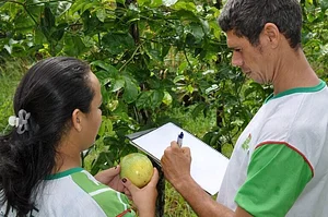 Núcleo De Estudos Em Agroecologia, Agricultura Orgânica E Desenvolvimento Sustentável