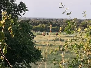 The Garden Estate