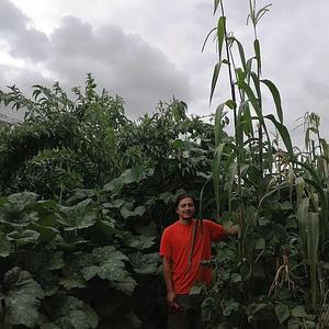 Mu̱'ta Biocultural