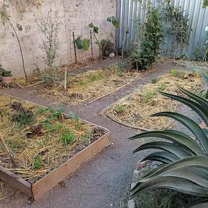 Mu̱'ta Biocultural