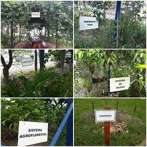 Centro Educacional Agrourbano Ipê