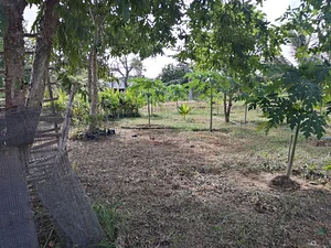 The Garden Estate