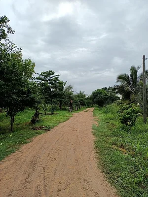 The Garden Estate