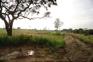 The Garden Estate