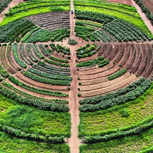 Sistema Agroflorestal Sítio Santa Fé 3