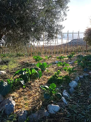 Permacultura Los Velez