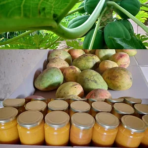Eco Ferme De Possotome Sud Bénin