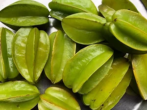 Aranya Agricultural Alternatives