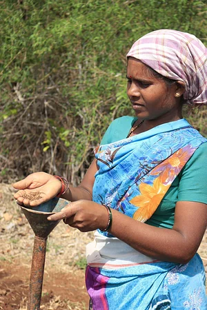 Aranya Agricultural Alternatives