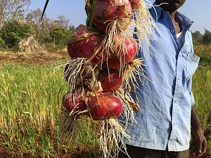 Aranya Agricultural Alternatives