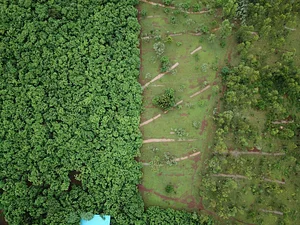 Aranya Agricultural Alternatives