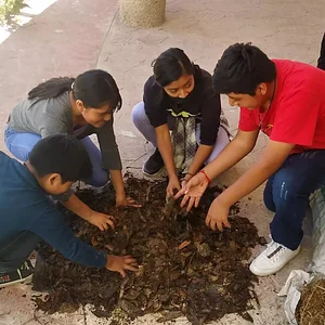 Composta (Bokashi) por kilos