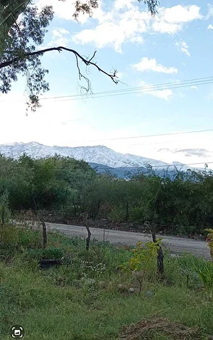 el manchao