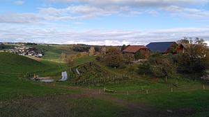 Hainkultur