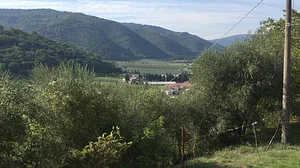 Federico