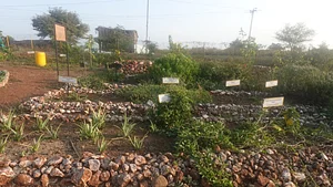 Demo herbal garden (2)