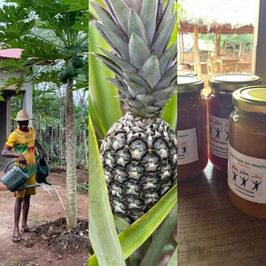 Eco-ferme de Possotome Sud-Bénin