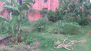 Quintais Agroflorestais - Moradia Estudantil da Unicamp