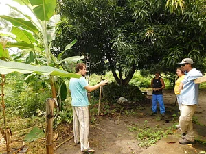 Agrofloresta Caminho 1