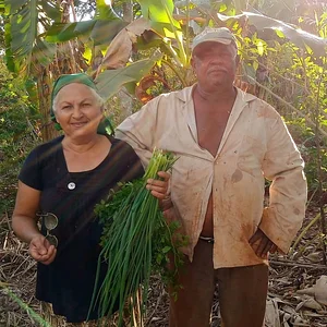 Cesta Agroecológica Solidária 1