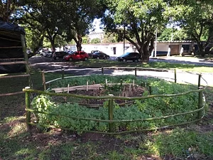 Núcleo de Agroecologia e Campesinato 1