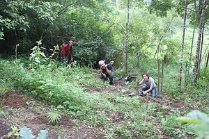 Agrofloresta Ecovila Bom Lugar 2