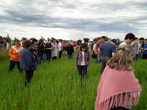Desarrollo y difusión de estrategias de base agroecológica para y con productores familiares de la región pampeana