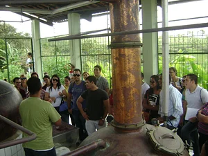 Oto Barreto Silva