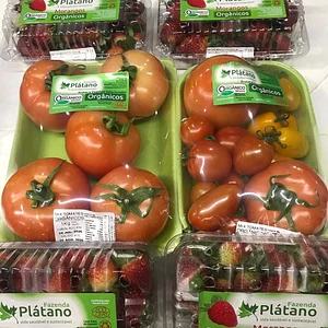 Fazenda Plátano