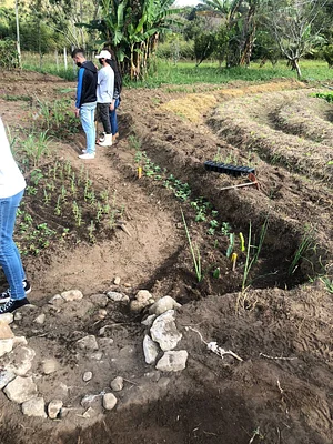 Jardim sensorial (implantação)