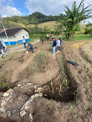 Jardim sensorial (implantação)