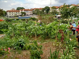 Hortas AUÊ! 2