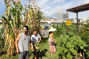 Horta na Rua 3