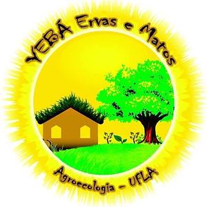Núcleo de Estudos em Agroecologia - Yebá