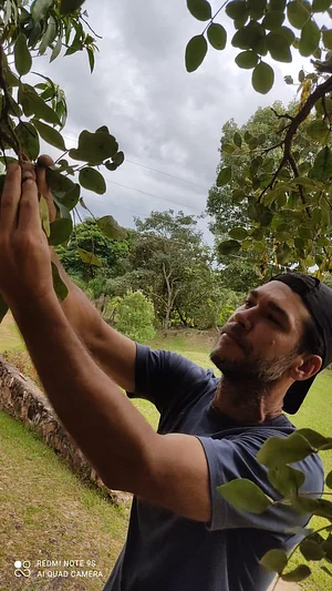 Trilha de Reconhecimento de Plantas do Cerrado, com Gabriel Romeo (março de 2022, Lago Norte-DF)