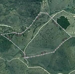 Agrofloresta Terra Prometida