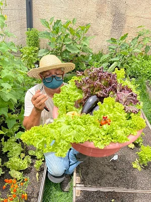 Horta Agroecológica Ipanema 1