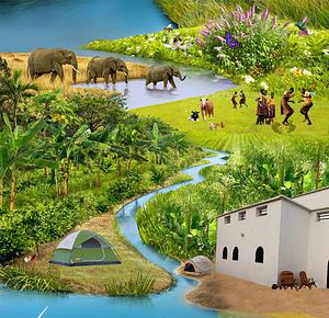 Dream Village