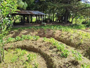 Huerto de Todos